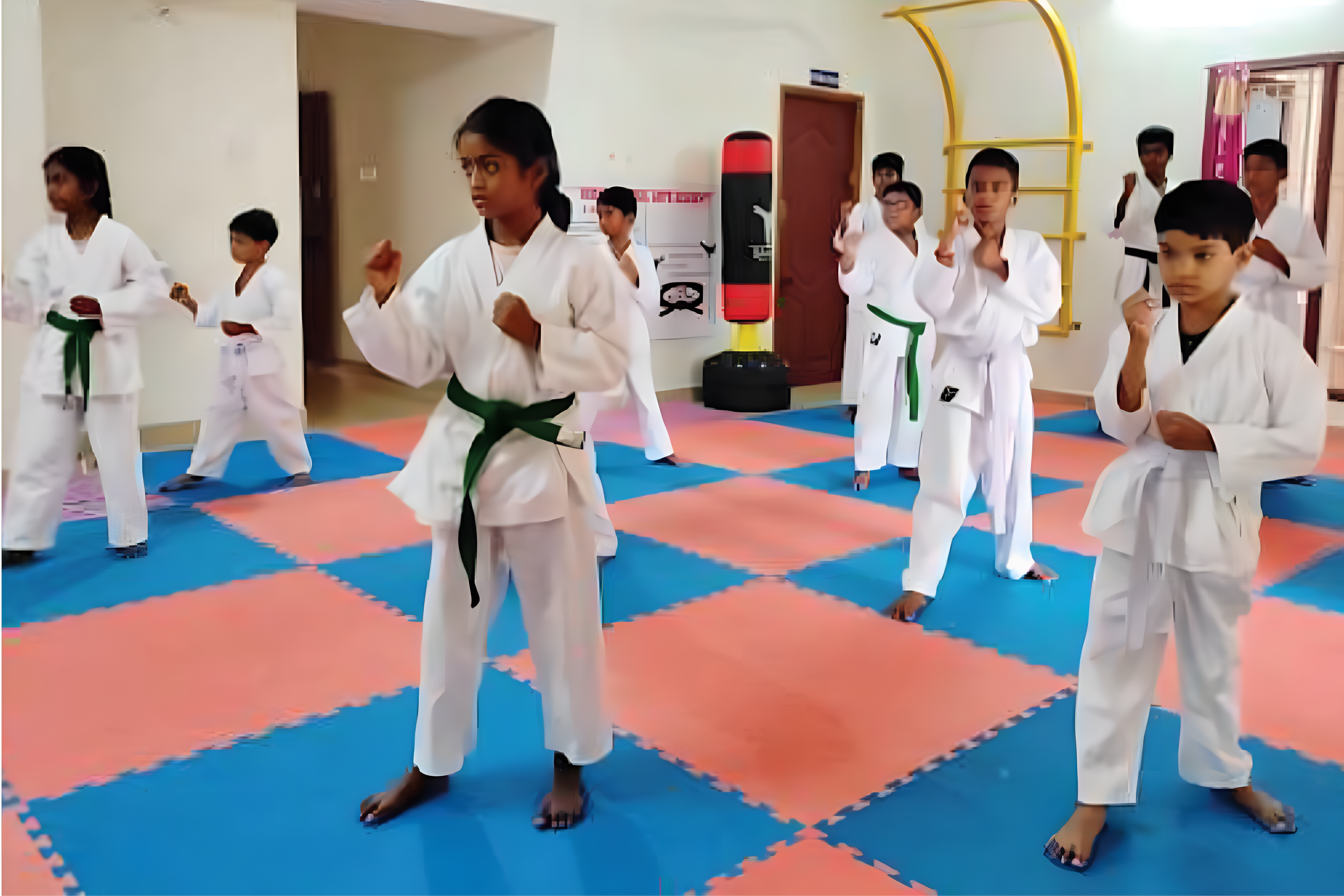 Vekan Martial Arts Academy